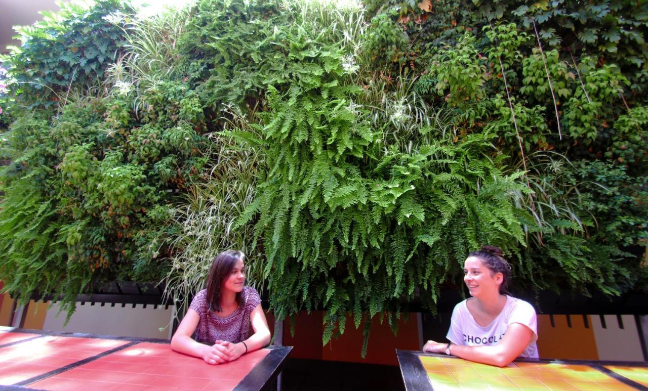 הוסטל סידני Original Backpackers מראה חיצוני תמונה